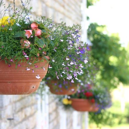 Crossways Hotel Wells Exterior foto Flower pots
